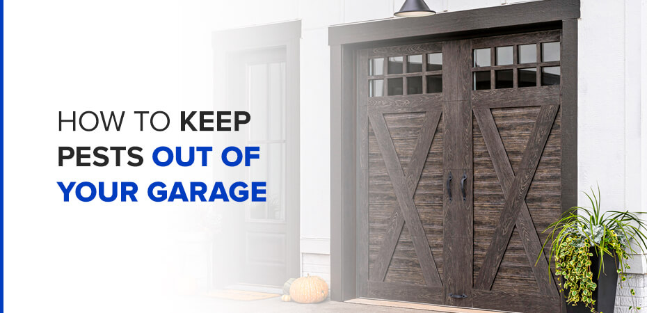 How to Keep Pests Out of Your Garage