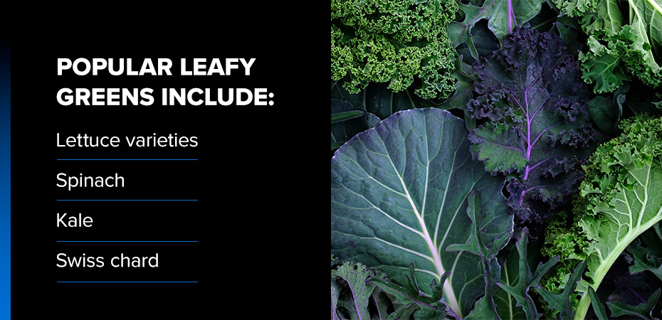 list of popular leafy greens for a garage garden