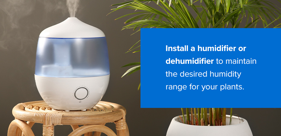 A humidifier or dehumidifier being used for plants.
