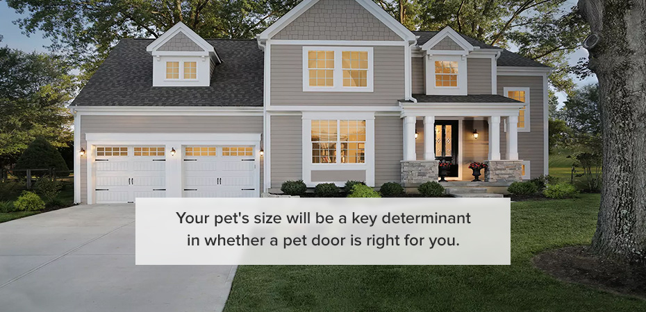 Your pet's size will be a key determinant in whether a pet door is right for you.